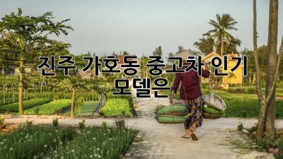 진주 가호동 중고차 인기 모델은? 🚗