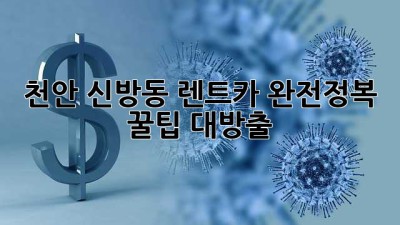 천안 신방동 렌트카 완전정복! 🚗💨 꿀팁 대방출
