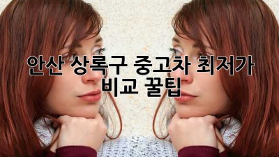 안산 상록구 중고차 최저가 비교 꿀팁 🚗💨