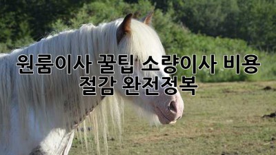원룸이사 꿀팁🍯: 소량이사 비용 절감 완전정복!